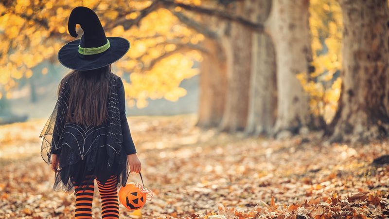 30 actividades de Halloween para familias, niños y adultos