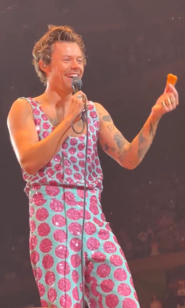 Harry Styles arrête son concert après qu'un fan ait lancé une pépite de poulet sur scène