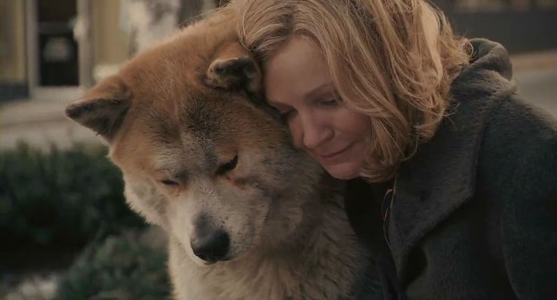 10 nejlepších psích filmů všech dob